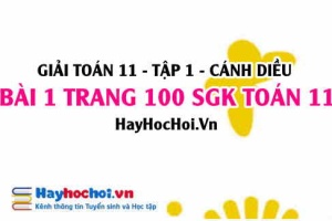 Giải bài 1 trang 100 Toán 11 tập 1 SGK Cánh Diều